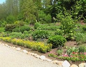 Heilgarten - Pflanzenheilkunde Heilpraktikerin Gabriele Landwerlin ~ Freiburg